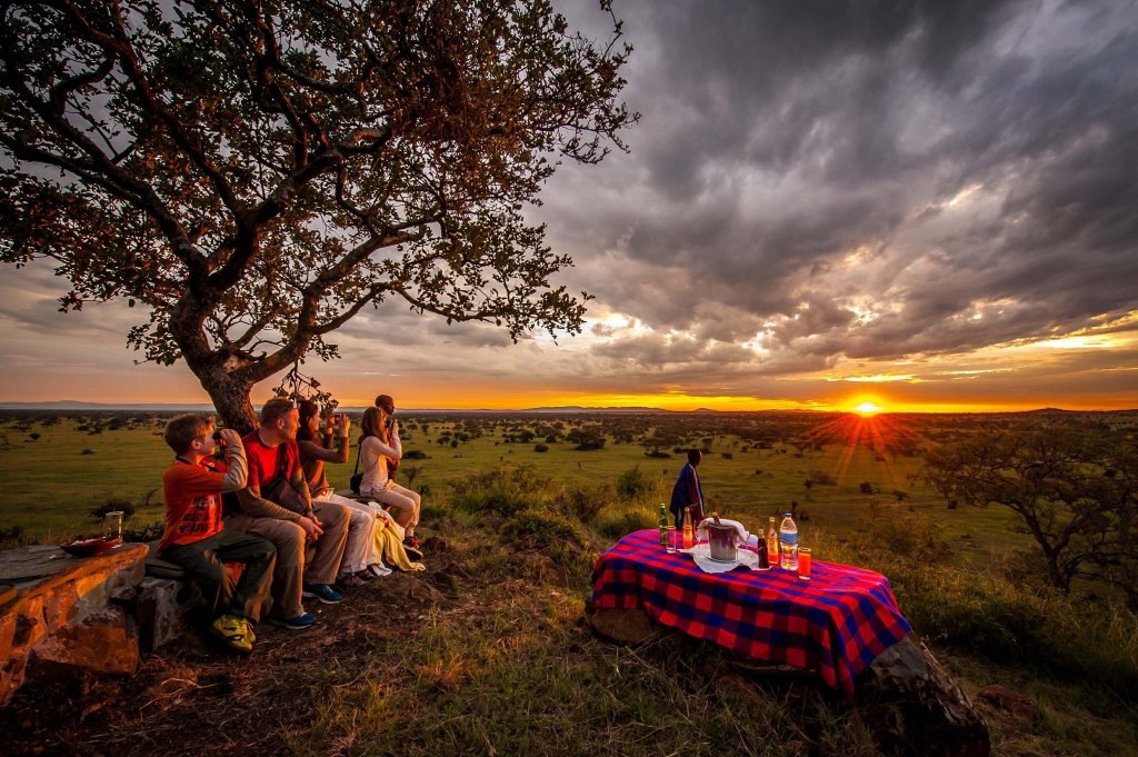 Family Safari